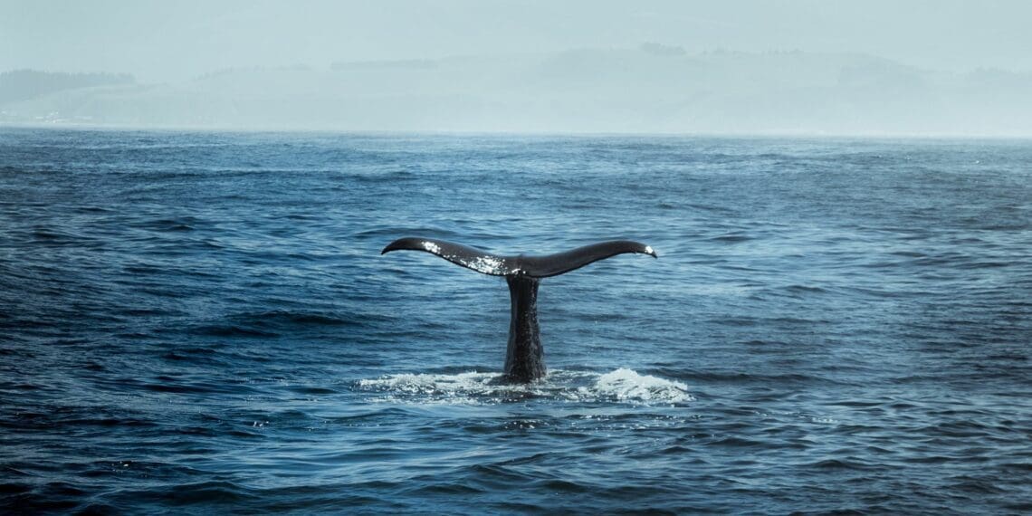 Climate change: Iron stressed oceans a concern