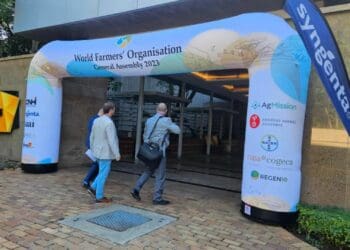 This week’s events include a Gather To Grow session on Twitter, WFO general assembly, provincial harvest day, a financial summit, and Afasa's North West AGM. Photo: SAAI