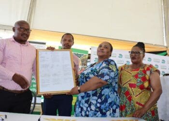 ICYMI: Didiza returns title deed to EC village