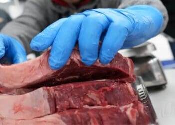 Beefmaster Group tackles skills shortage in NC