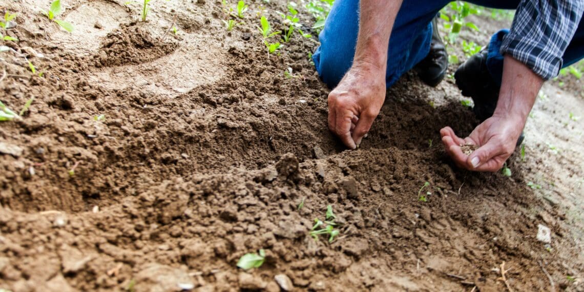 Adapting traditional insurance in new ways