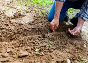Adapting traditional insurance in new ways