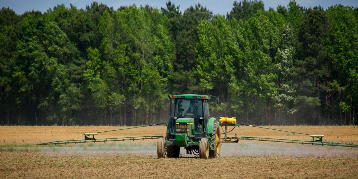 BFAP paints a promising picture for agri but hurdles remain