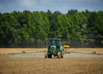 BFAP paints a promising picture for agri but hurdles remain