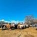 ICYMI: How land reform can fix youth problems