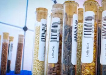SA's biobanks require a streamlined approach
