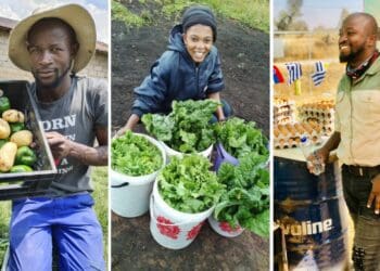 In the years 2020 to 2022, a consistent 62% of the farmers Buhle Farmers Academy trained were youth, the number increasing from 218 to 424 over this period. Photo: Supplied/Food For Mzansi