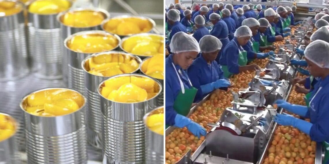 Canned fruit industry faces uncertain future