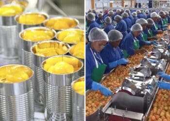 Canned fruit industry faces uncertain future