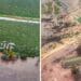 Floods cause two-week citrus harvesting delay