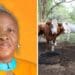 Mohono: NW's agri future lies in collaboration
