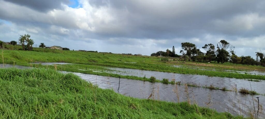 Floods wreaks havoc, WC farmers count losses