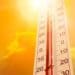 El Niño guessing game: Farmers gear up for planting season