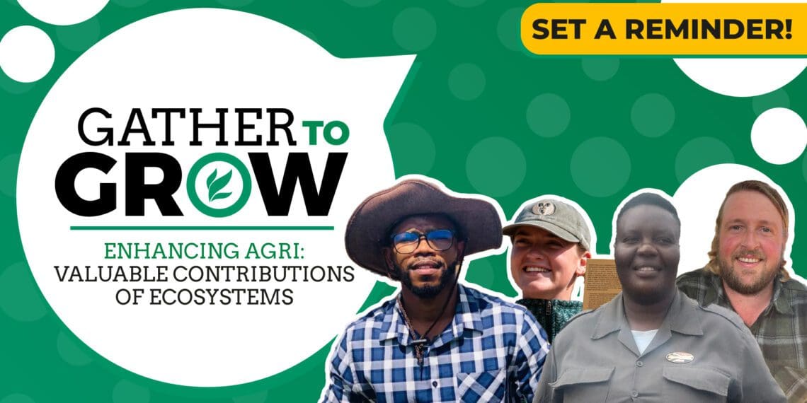 This week’s events include a Gather To Grow session on Twitter, a wood trade Show, a wine conference, a black business summit, a drone webinar and a farmers' road. Photo: Supplied/Food For Mzansi