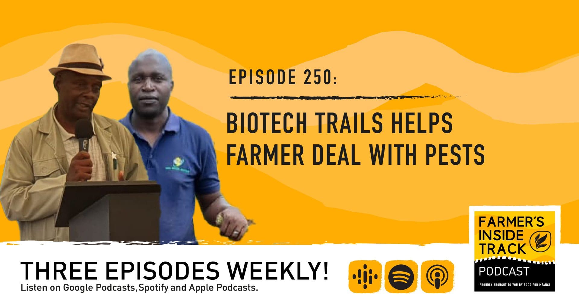 Podcast: Biotech trials helps farmer fight pests - Food For Mzansi