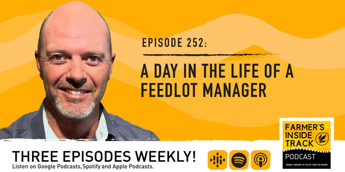 Podcast: Escaping pitfalls in the feedlot industry