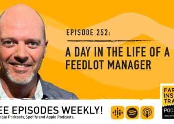Podcast: Escaping pitfalls in the feedlot industry