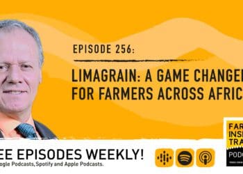Podcast: Changing the grain game in Africa