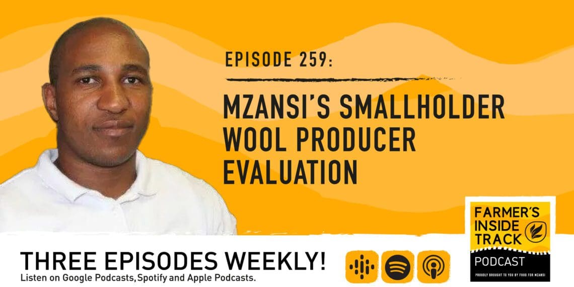 Podcast: Tracking smallholder wool producers