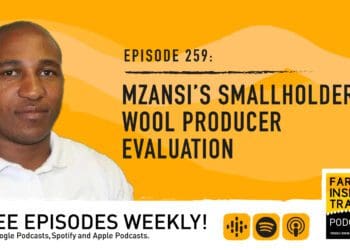 Podcast: Tracking smallholder wool producers