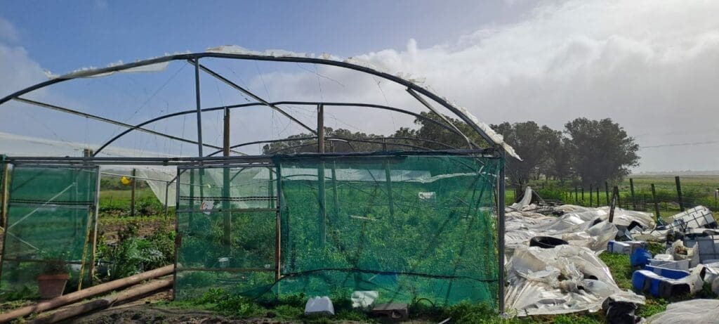 Rising from the ashes in 2023, four bold farmers soldier on