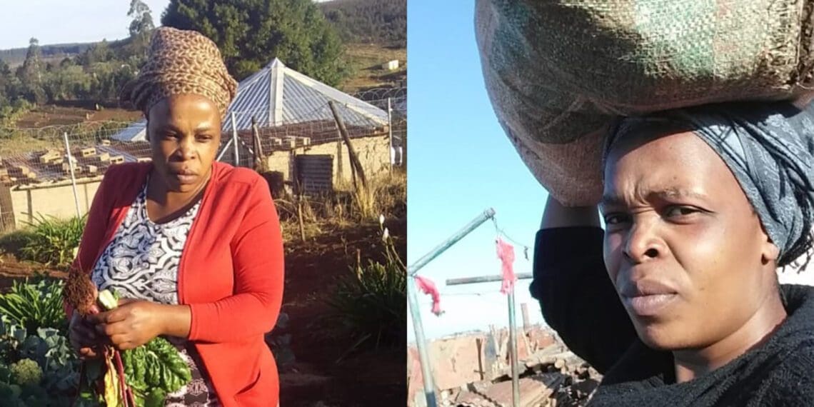 Lungile Shelembe never imagined that her passion would one day lead her to supervise 240 home gardens.
Photo: Supplied/Food For Mzansi