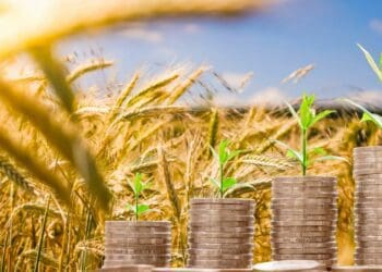 ICYMI: Agri economist gives thumps up despite all the hurdles