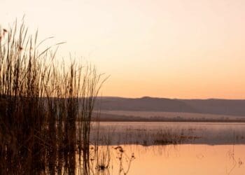 Sharing the abundance of the Loskop Valley