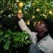 Land reform holds the key to youth job creation