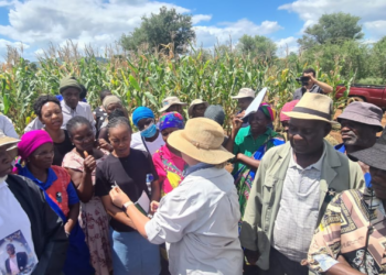 Looking back at CropLife SA’s biotech triumph