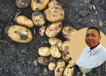 ICYMI: Agri mourns transformation giant Xaba