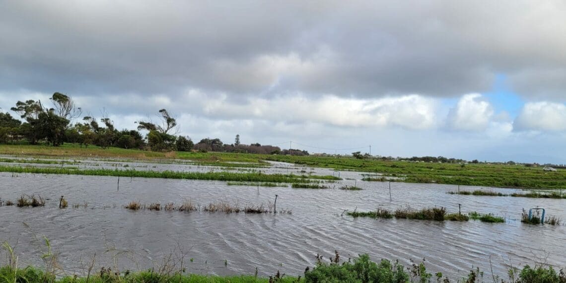 Floods wreaks havoc, WC farmers count losses