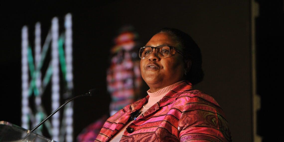 Didiza opens Mzansi Young Farmers Indaba