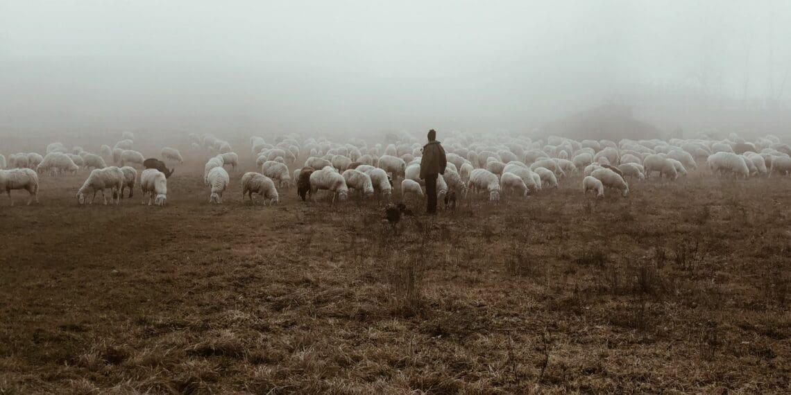 Climate change: Not enough farmers are drought resilient
