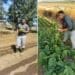 Mkhize's passion for agri keeps him awake at night