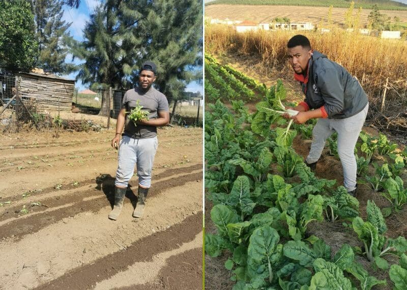 Mkhize's passion for agri keeps him awake at night