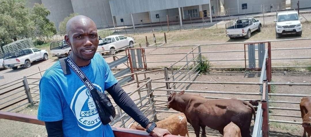 Busy bee Mohotlheng wears many farming hats