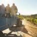 Agri split on Draft Employment Equity Regulations
