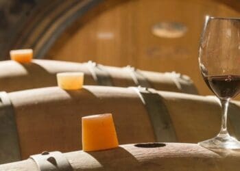 The South African Young Wine Show dating back to 1833 - presented annually by the South African National Wine Show Association (SANWSA) - gives winemakers the opportunity to showcase the best wines of the current vintage.Photo: The South African Young Wine Show