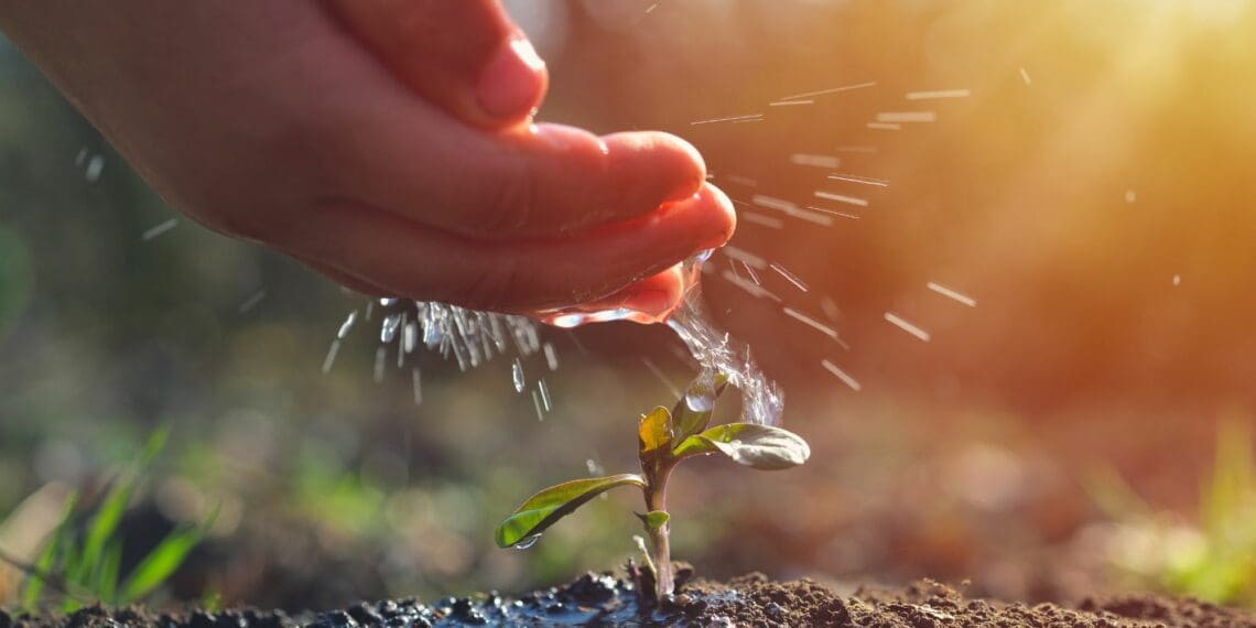 World Food Day: Water is life, water is food – use it wisely