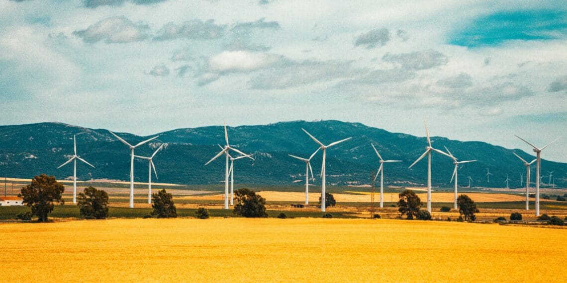How the EU’s clean energy drive will impact SA