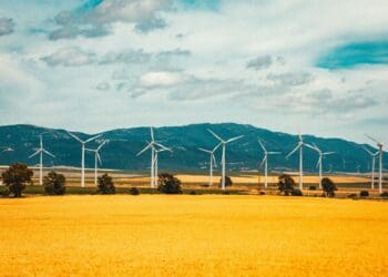 How the EU’s clean energy drive will impact SA
