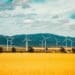 How the EU’s clean energy drive will impact SA