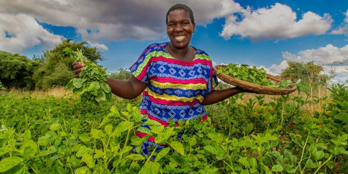 Agriculture technological development is great but it also clashes with biodiversity. Photo: Sourced/Community Technology Development Trust/Organisation