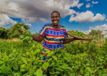 Agriculture technological development is great but it also clashes with biodiversity. Photo: Sourced/Community Technology Development Trust/Organisation