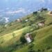 ICYMI: 'Fix Land Bank by changing funding model'