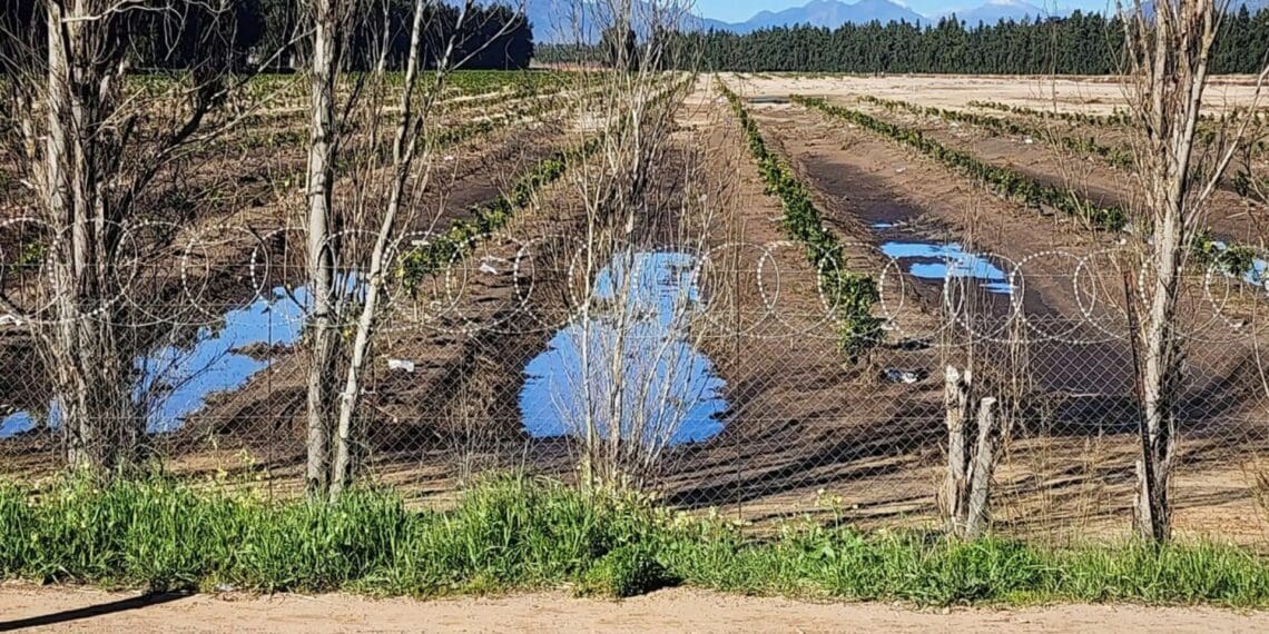 WC flood damage hits the R1 billion mark (and counting)