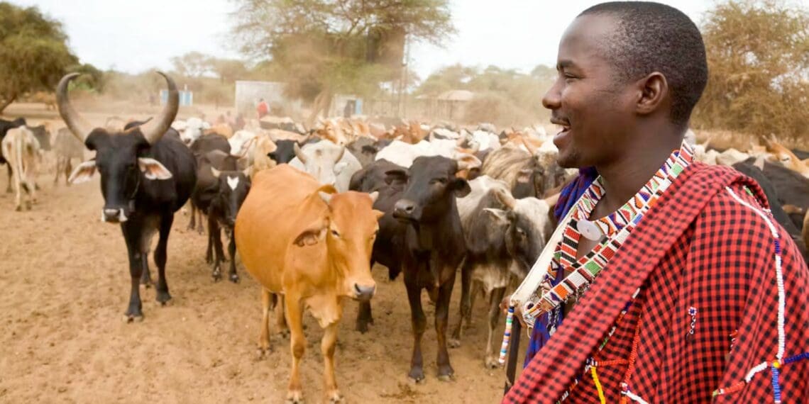 Why pastoralists are our lifelines to the future