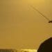 ‘Drone fishing craze causes conservation dilemmas’