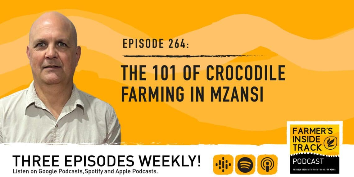 Podcast: The 101 of crocodile farming in Mzansi